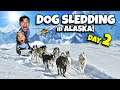 DOG SLEDDING IN ALASKA!!! Glacier Helicopter Tour in Juneau - CRUISE WEEK Day 2