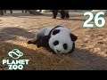 Planet Zoo - Part 26 - MISSING BUFFALO?