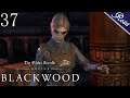 An Obsession | Part 37 | ESO Blackwood