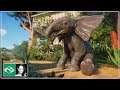 🔴 Elephant indoor & outdoor habitat | Planet Zoo | BETA | Live Stream |