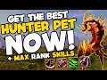 How to get the BEST Hunter Pet in TBC Prepatch, Max Rank Abilities and Power Level to 60