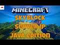 How to Join Skyblock Server In Minecraft Java Edition