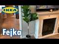IKEA Fejka Artificial Plant