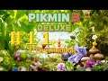 Operation Grab that Hocotate - Pikmin 3 Deluxe - Episode 11
