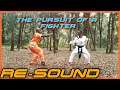 THE PURSUIT OF A FIGHTER - Mini Series [[RE-SOUND]]