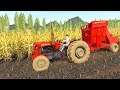 UTH19 - Corn harvest ZMAJ 224 IMT 558