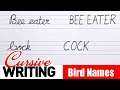 How to Write Bird Names Letter in Cursive - Cursive Writing | Cursive Handwriting Letters