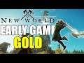 New World - Making Gold In The Early Game - Crafting, Questing, Trading Post & Gold!