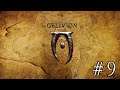 The Elder Scrolls IV: Oblivion ◈ Гильдия бойцов и нудный пророк ◈ (#9)