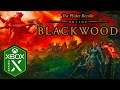 The Elder Scrolls Online Xbox Series X Blackwood Gameplay Review [Optimized]