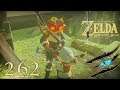 The Legend of Zelda: Breath of the Wild #262 - 6 Kakariko Quests Ω Let's Play