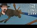 The One Arrow Moose Hunt!- The Long Dark Interloper 2020 Gameplay 69
