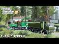 Forestry and Farming on The Old Stream Farm | Farming Simulator 19 | Episode 8