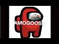 Introducing....AMOGOOSE