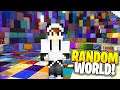 Minecraft, But The World Is Randomized...