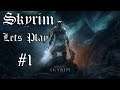 The Elder Scrolls V: Skyrim |Ep.1| The journey begins! Live Stream!