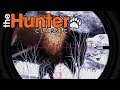 The Hunter Classic #16 -Ein Bison -The Hunter