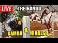 TREINANDO MEUS CAVALOS NO STARSTABLE Gambá & Hidalgo