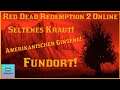 Amerikanischer Ginseng! Fundort! Red Dead Redemption 2 Online!