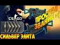 CS:GO 14 день Silver Elite – Серебро-Элита mne_net_ravnix cs