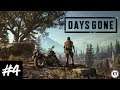 Let's Play! Days Gone No Commentary Part 4 (PS4 Pro)