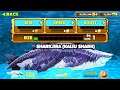 NEW SHARKJIRA GODZILLA SHARK UNLOCKED!!! (HUNGRY SHARK EVOLUTION)