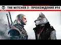 The Witcher 3 - Прохождение #14