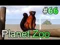 実況 動物観察の刑に処す！「Planet Zoo」#66