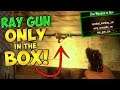 RAY GUN ONLY IN THE MYSTERY BOX MOD!! (Zombie Mod Trolling!)