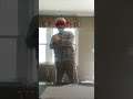 The wiggles . wave to wags . dan's dance video
