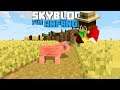 Wie baut man eine Farm in Minecraft Skyblock | Minecraft Skyblock für Anfänger | LarsLP