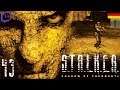 Let's Play STALKER: Shadow of Chernobyl [DE] 43 Monolith HQ (Stream 11)