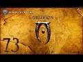 The Elder Scrolls IV: Oblivion - 1080p60 HD Walkthrough Part 73 - "Honor Thy Mother"