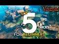 VALHEIM: TOP 5 Tips & Tricks for BEGINNERS | Beginners Guide