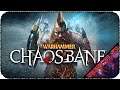 Гном эксгибиционист-берсерк - Warhammer: Chaosbane [СИНБ]