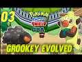 Grookey Evolved|Catch New Pokemon|Pokemon Sword And Shield Gba Episode-3