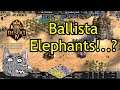 JorDan's Ballista Elephant Madness vs TheViper | 1v1 Arabia | KotD4 - Ro4