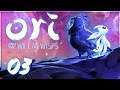 Ori and the Will of the Wisps : Les 4 Donjons Élémentaires ! #03