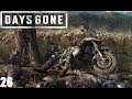 Days Gone - PS4 - Let´s Play 26 - Ich hab was für dich