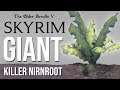 Did You Find The GIANT KILLER Nirnroot in Skyrim?