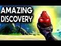 AMAZING DISCOVERY // SEA OF THIEVES - The most amazing thing ever!