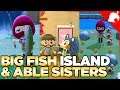 Big Fish Island, The Able Sisters Shop & Money Rock Island - Animal Crossing New Horizons
