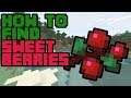 How to Find Sweet Berries in Minecraft Survival!