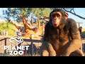 BEST ZOO BUILDING TYCOON EVER | Planet Zoo Tycoon Building Gameplay