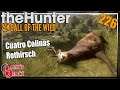 The Hunter Call of the Wild ★ Das Wolfsrudel und Rothirsche in Cuatro Colinas [226] Let's Play