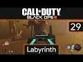BO3: Custom Zombies - EP29 Labyrinth