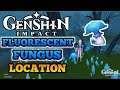 Fluorescent Fungus Location - Genshin Impact 2.2 Quick Guide