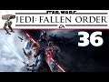 Star Wars: Jedi Fallen Order 🚀 ►36◄ Bogano: SpiderCal, SpiderCal