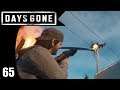 Fly Nevermore - Days Gone - Part 65