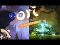 KURO BLOCKS THE MISTY WOODS - ORI AND THE BLIND FOREST #5